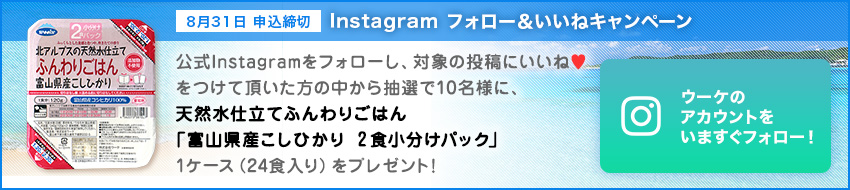 Instagram フォロー&いいねキャンペーン