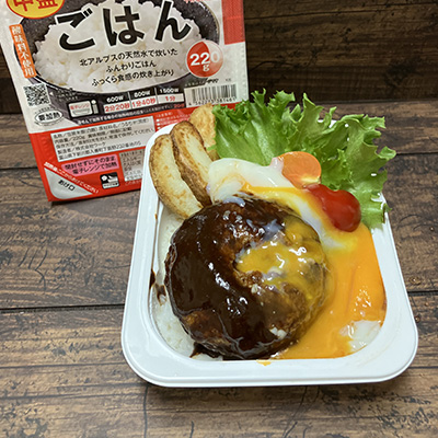 ロコモコ丼