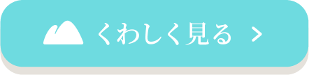 詳しく見る
